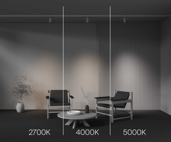 Трековый светодиодный светильник Maytoni Technical Focus Led TR197-3-12WCCT-M-W