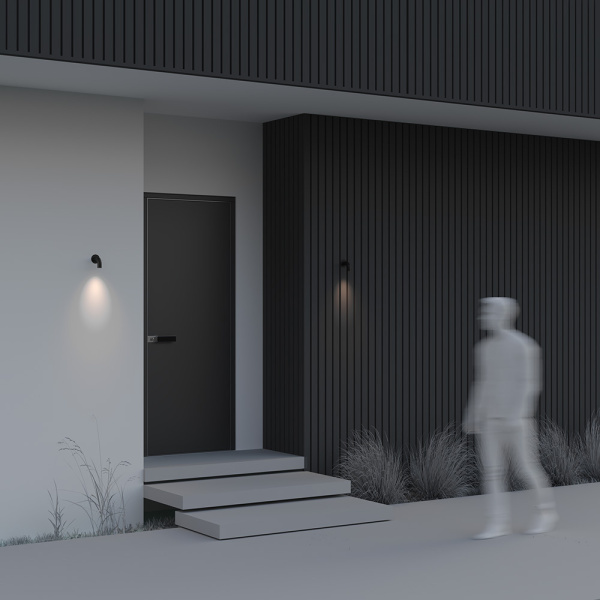 Бра Maytoni Outdoor O477WL-L2GF3K