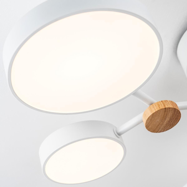 Потолочный cветильник LED4U L3201-700 WT