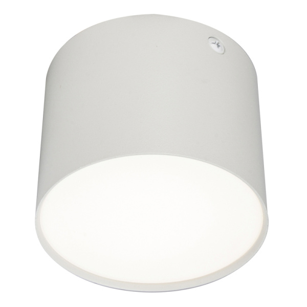 Потолочный светодиодный светильник Escada 20004SMU/01LED SWH