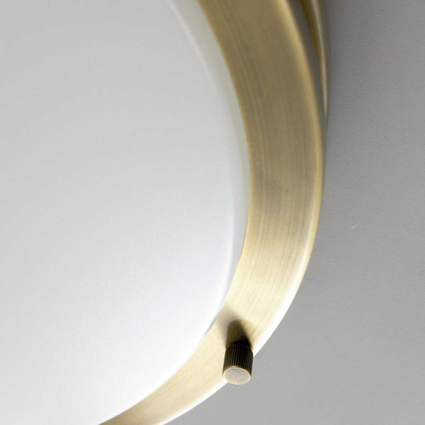 Накладной светодиодный светильник Citilux Бостон CL709323N