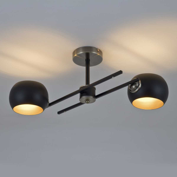 Потолочная люстра Modelux Modemodern MD.5171.2