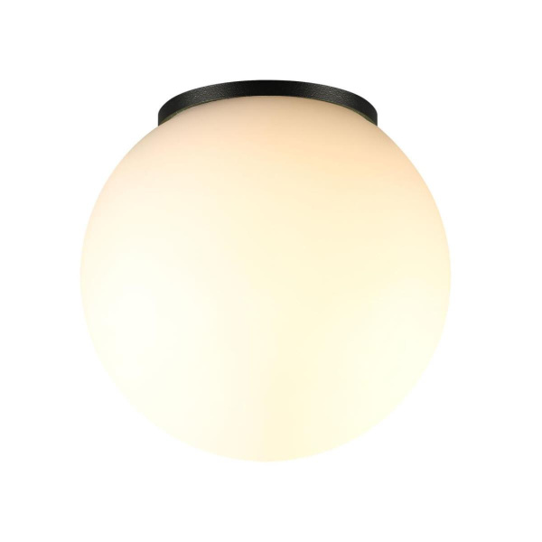 Потолочный светильник Odeon Light NATURE 7124/1C