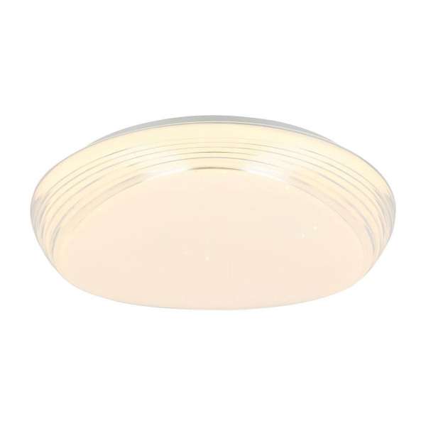 Потолочный светодиодный светильник Globo Lucas 41344-24