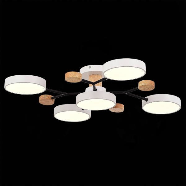 Потолочная светодиодная люстра Evoluce FAEMA SLE6006-502-05