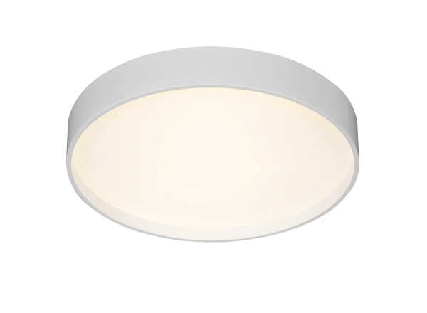 Потолочный светильник (RL) 2541/400 WHITE (1)