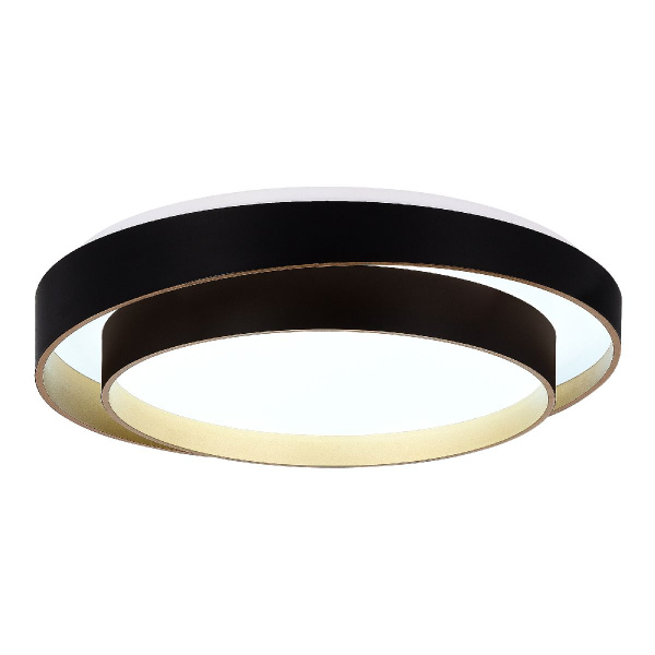 Потолочный светодиодный светильник Evoluce Crosby SLE6009-402-01