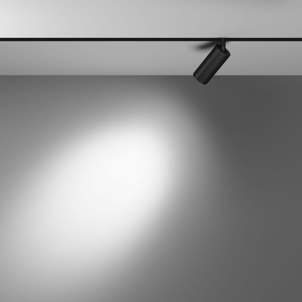 Трековый светодиодный светильник Maytoni Technical Exility Focus Led TR032-2-5W3K-S-B