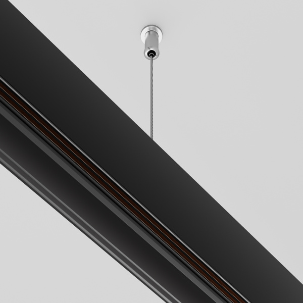 Подвес Maytoni Technical Exility Busbur TRA034SW-2B