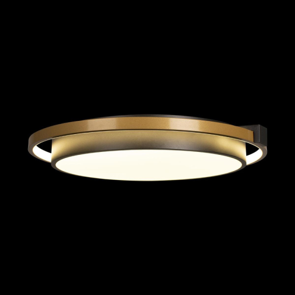 10170 Потолочный светильник LOFT IT Mike, шт