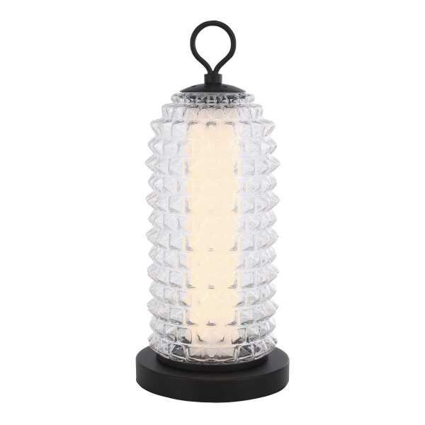 Настольная лампа ST Luce SAGUARO SL6144.404.01