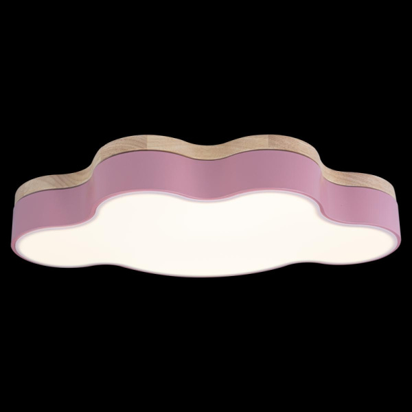 10005/30 Pink Светильник потолочный LOFTIT Axel, шт