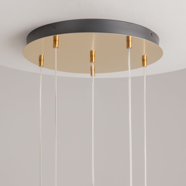 Подвесной светодиодный светильник Maytoni Modern Biology MOD367PL-L18BBSK