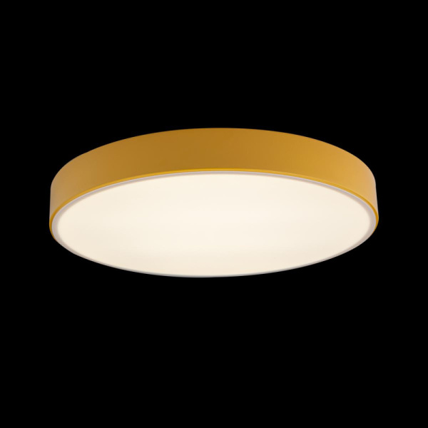 10002/24 Yellow Светильник потолочный LOFTIT Axel, шт