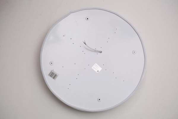 Потолочный светодиодный светильник Escada 10231/S LED