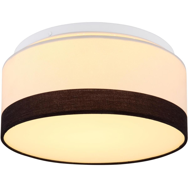 Потолочный светодиодный светильник Globo Maggy 15385D