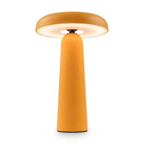 Настольная аккумуляторная лампа Freya Mushroom FR6109TL-L4OR
