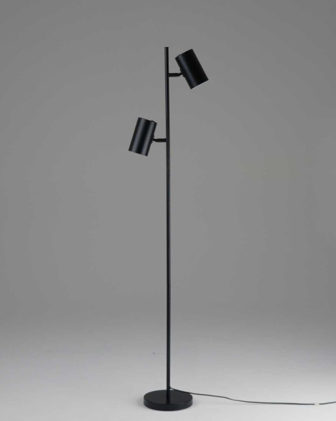 Торшер Moderli Ashes V11329-2F