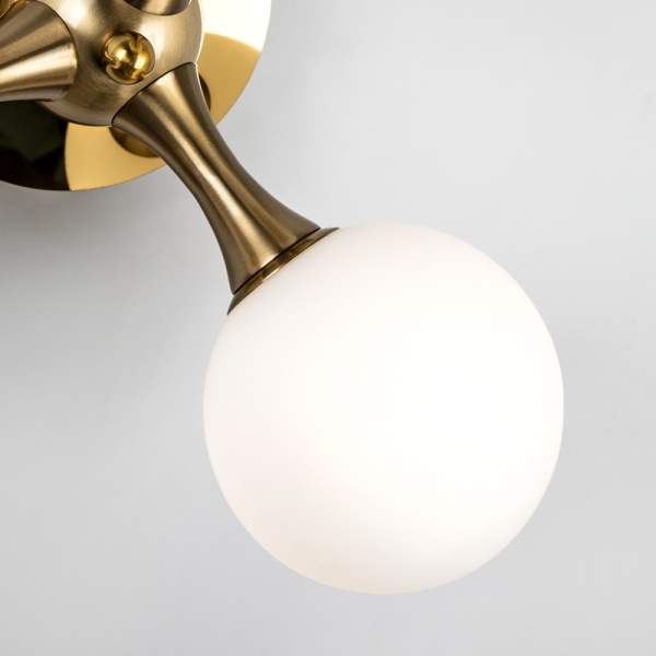 Бра Modelux Modestyle MS.6116.03 BS