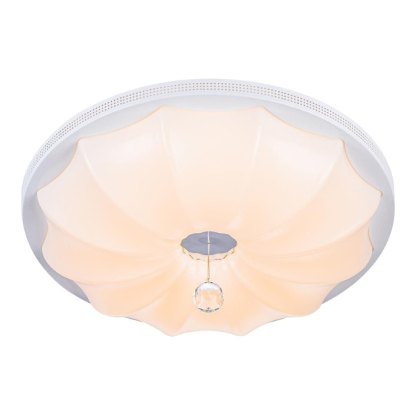 Потолочный светодиодный светильник Escada 10231/S LED
