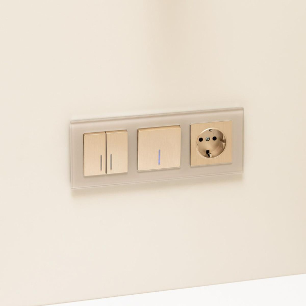 Розетка с заземлением Werkel шампань рифленый W1171010 4690389160325