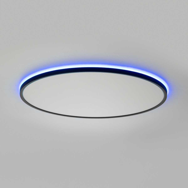 Потолочный светильник Citilux NORMA CL749601