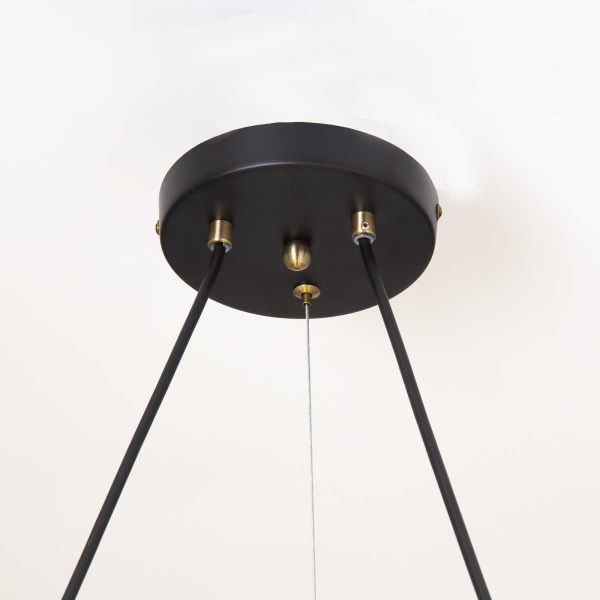 Подвесная люстра Citilux Планета CL105195