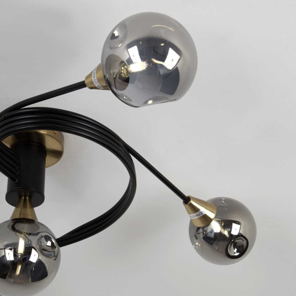 Потолочная люстра Modelux Modemodern MD.1210.6