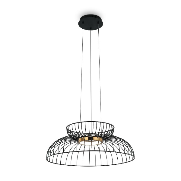 Подвесной светодиодный светильник Freya Citrus FR5398PL-L6B