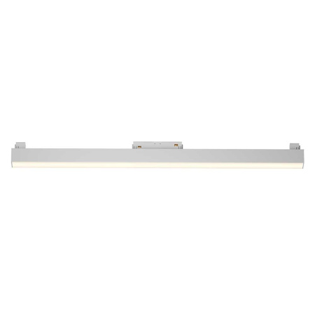Трековый светодиодный светильник Maytoni Technical Basis TR074-2-20W3K-W