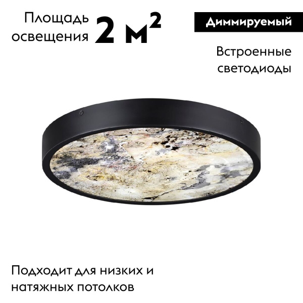 Настенно-потолочный светильник Odeon Light BERGI 5064/24L