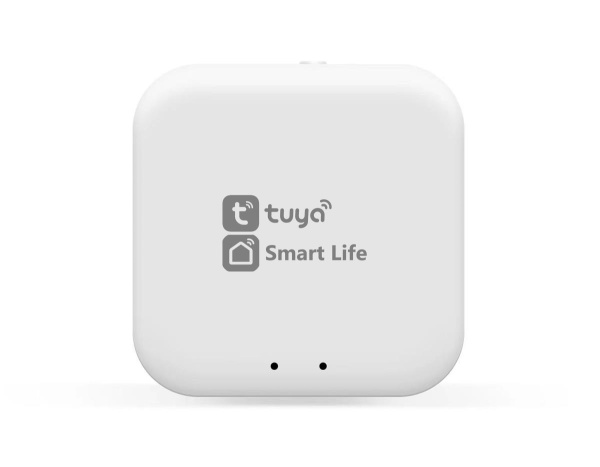 Wi-Fi конвертер управления светильниками для системы освещения Ambrella Light TRACK SYSTEM GL1920