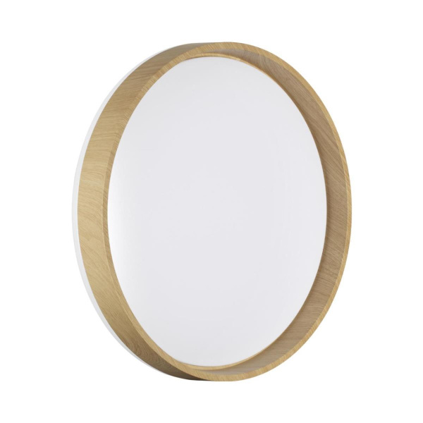 Настенно-потолочный светильник Sonex BASICA 7684/ELN