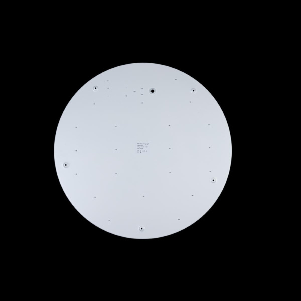 10002/48 White Светильник потолочный LOFTIT Axel, шт