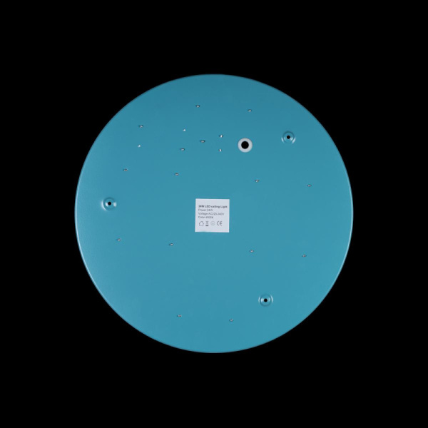 10003/24 Blue Светильник потолочный LOFTIT Axel, шт