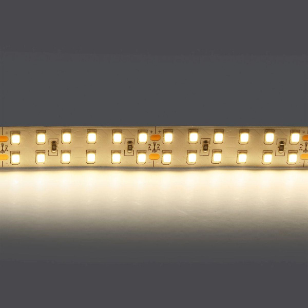Светодиодная лента Lightstar 24W/m 240LED/m дневной белый 5M 421504