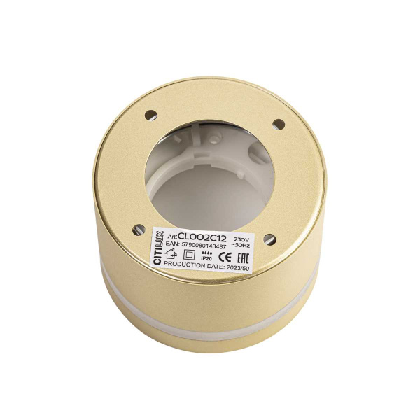 Потолочный светильник Citilux Hardy CL002C12