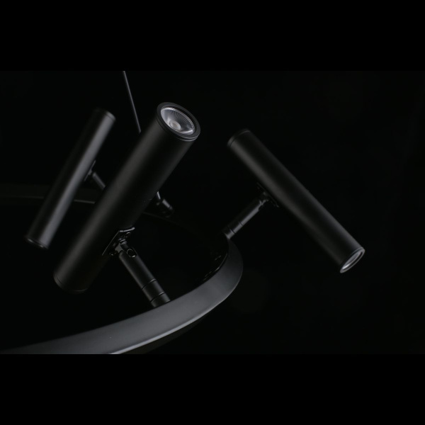 Подвесная светодиодная люстра Aployt Honor APL.067.03.40