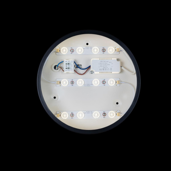 10002/12 Black Светильник потолочный LOFTIT Axel, шт