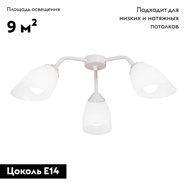 Потолочная люстра Vitaluce V31950/3PL