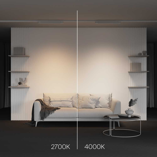 Трековый светодиодный светильник Maytoni Technical Basis TR196-3-20W2.7K-W