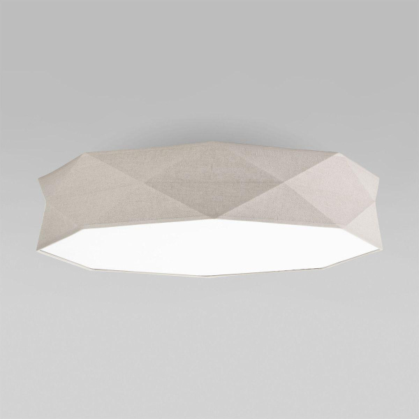 Потолочный светильник TK Lighting 6196 Kantoor Nature