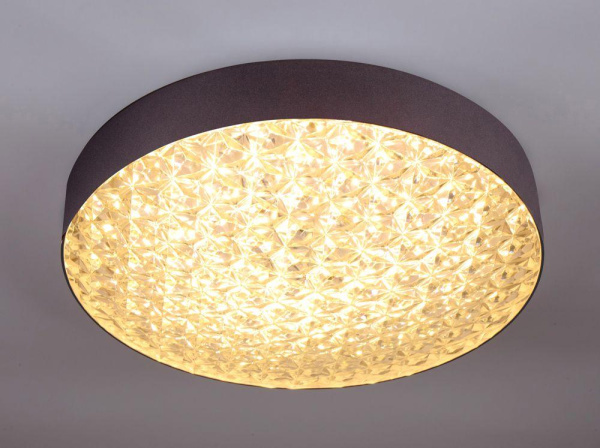 Потолочный светодиодный светильник Escada 10246/1LED