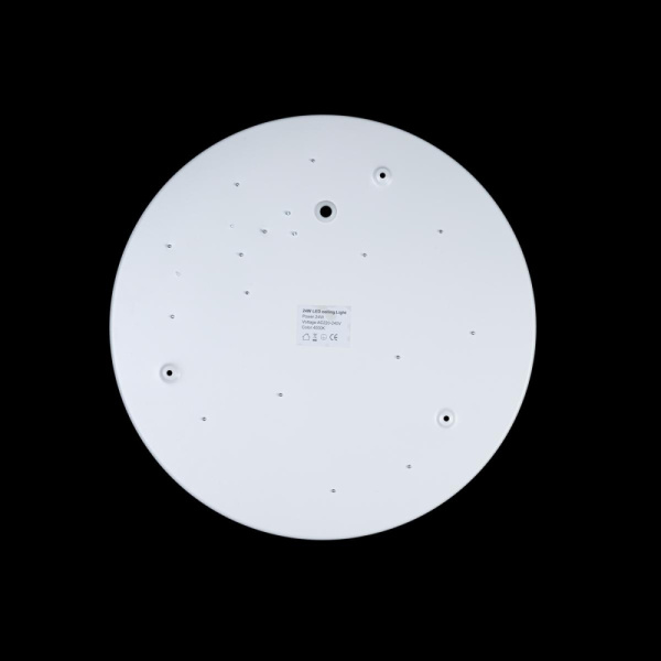 10002/24 White Светильник потолочный LOFTIT Axel, шт