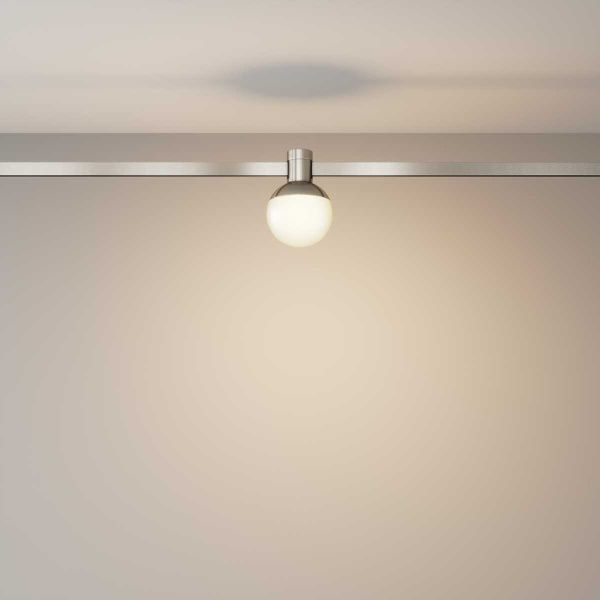 Трековый светильник Maytoni Technical TR149-1-5W3K-PT