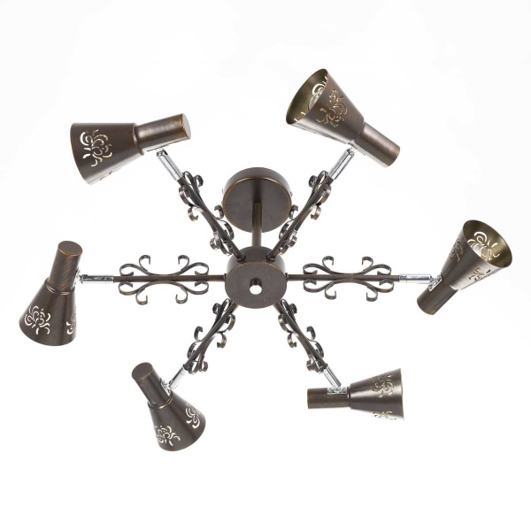 Потолочная люстра Citilux Дункан CL529161