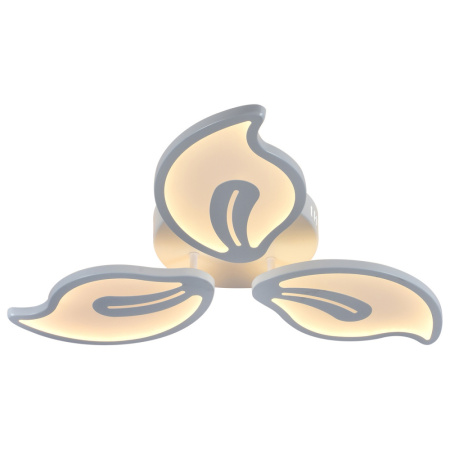 10215/3LED Потолочный светильник