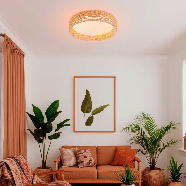 Потолочный светильник F-Promo 4749-4C