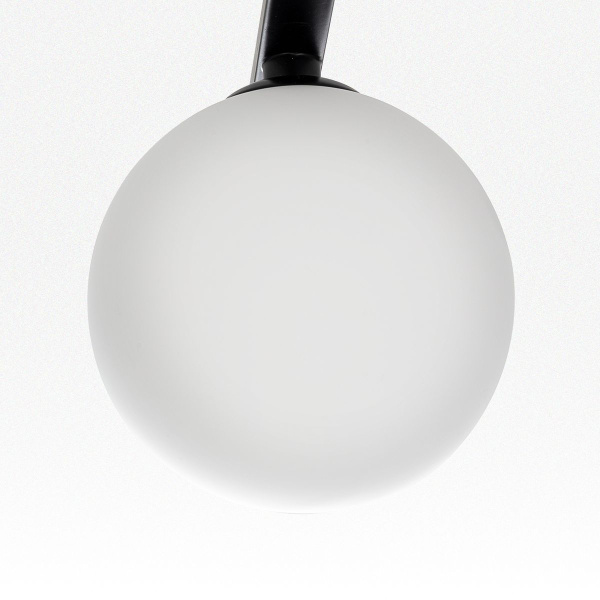 Потолочная люстра Citilux Glob CL209261