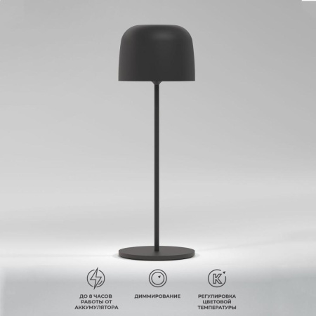 Уличный светодиодный светильник Elektrostandard Bitty черный TL70260 a069002